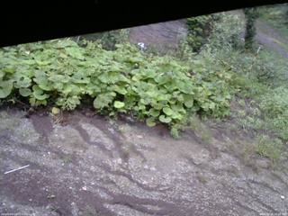 長野県菅平高原 ゆたか山荘 駐車場 2025/08/28 06:00
