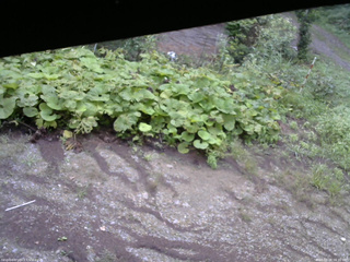 長野県菅平高原 ゆたか山荘 駐車場 2025/08/28 06:30