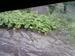 長野県菅平高原 ゆたか山荘 駐車場 2025/08/28 06:45