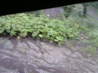 長野県菅平高原 ゆたか山荘 駐車場 2025/08/28 07:00