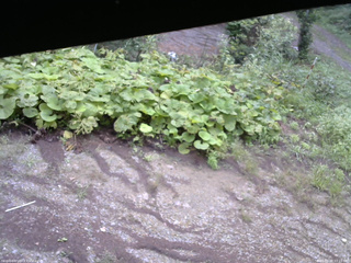長野県菅平高原 ゆたか山荘 駐車場 2025/08/28 07:15