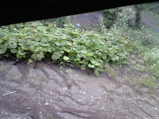 長野県菅平高原 ゆたか山荘 駐車場 2025/08/28 07:30