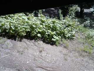 長野県菅平高原 ゆたか山荘 駐車場 2025/08/28 09:00