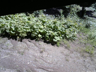 長野県菅平高原 ゆたか山荘 駐車場 2025/08/28 09:30