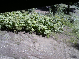 長野県菅平高原 ゆたか山荘 駐車場 2025/08/28 09:45