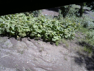 長野県菅平高原 ゆたか山荘 駐車場 2025/08/28 10:00
