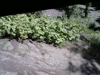長野県菅平高原 ゆたか山荘 駐車場 2025/08/28 10:15