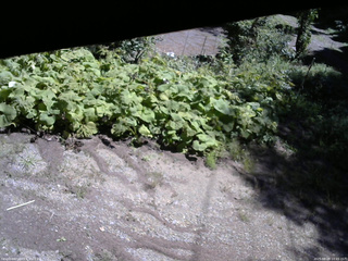 長野県菅平高原 ゆたか山荘 駐車場 2025/08/28 10:45