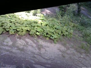長野県菅平高原 ゆたか山荘 駐車場 2025/08/28 15:00