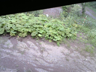 長野県菅平高原 ゆたか山荘 駐車場 2025/08/28 16:45