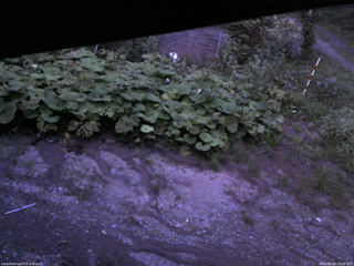 長野県菅平高原 ゆたか山荘 駐車場 2025/08/28 18:30