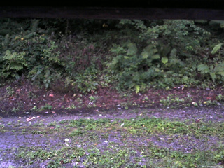 長野県菅平高原 ゆたか山荘 南側 2025/08/29 05:15