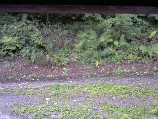 長野県菅平高原 ゆたか山荘 南側 2025/08/29 05:30