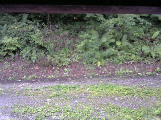 長野県菅平高原 ゆたか山荘 南側 2025/08/29 05:45