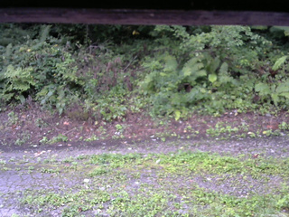 長野県菅平高原 ゆたか山荘 南側 2025/08/29 06:00