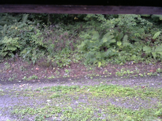 長野県菅平高原 ゆたか山荘 南側 2025/08/29 06:15