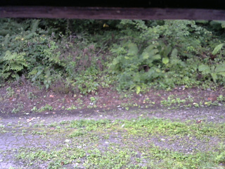 長野県菅平高原 ゆたか山荘 南側 2025/08/29 06:30