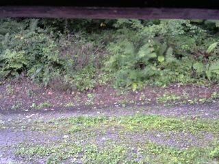 長野県菅平高原 ゆたか山荘 南側 2025/08/29 07:00