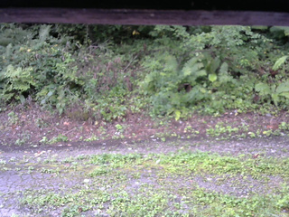 長野県菅平高原 ゆたか山荘 南側 2025/08/29 07:15