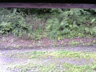 長野県菅平高原 ゆたか山荘 南側 2025/08/29 07:30