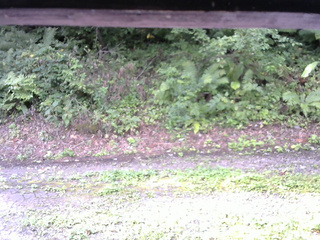 長野県菅平高原 ゆたか山荘 南側 2025/08/29 07:45