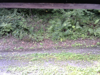 長野県菅平高原 ゆたか山荘 南側 2025/08/29 08:00