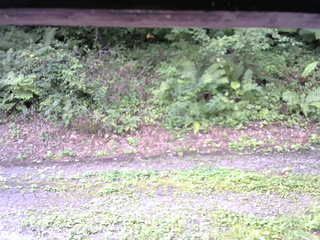 長野県菅平高原 ゆたか山荘 南側 2025/08/29 08:15