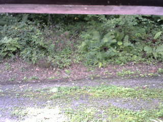 長野県菅平高原 ゆたか山荘 南側 2025/08/29 08:30