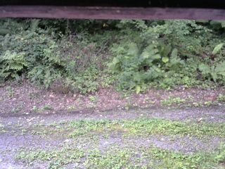 長野県菅平高原 ゆたか山荘 南側 2025/08/29 09:00