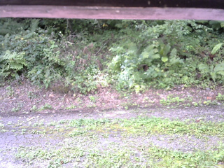 長野県菅平高原 ゆたか山荘 南側 2025/08/29 09:15