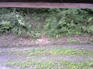 長野県菅平高原 ゆたか山荘 南側 2025/08/29 09:30