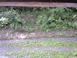 長野県菅平高原 ゆたか山荘 南側 2025/08/29 09:45