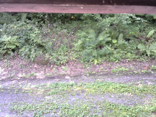 長野県菅平高原 ゆたか山荘 南側 2025/08/29 10:00