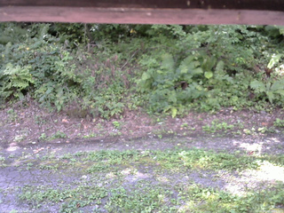 長野県菅平高原 ゆたか山荘 南側 2025/08/29 10:15