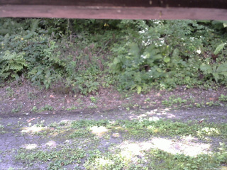 長野県菅平高原 ゆたか山荘 南側 2025/08/29 10:30