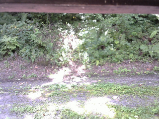 長野県菅平高原 ゆたか山荘 南側 2025/08/29 10:45