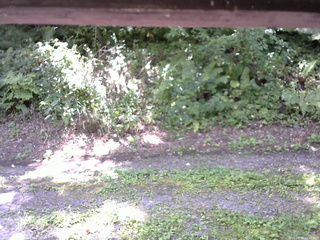 長野県菅平高原 ゆたか山荘 南側 2025/08/29 11:00