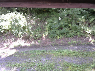 長野県菅平高原 ゆたか山荘 南側 2025/08/29 11:15