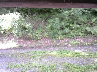 長野県菅平高原 ゆたか山荘 南側 2025/08/29 11:30