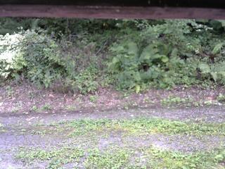 長野県菅平高原 ゆたか山荘 南側 2025/08/29 11:45