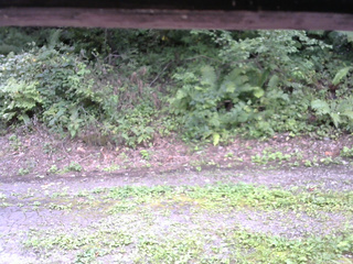 長野県菅平高原 ゆたか山荘 南側 2025/08/29 12:00