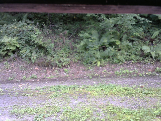 長野県菅平高原 ゆたか山荘 南側 2025/08/29 12:15