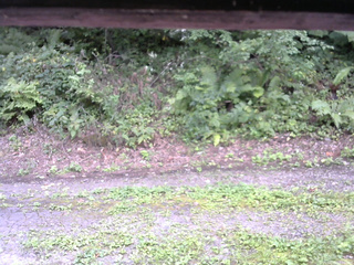 長野県菅平高原 ゆたか山荘 南側 2025/08/29 12:30