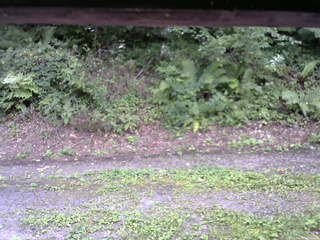 長野県菅平高原 ゆたか山荘 南側 2025/08/29 12:45