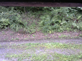 長野県菅平高原 ゆたか山荘 南側 2025/08/29 13:15