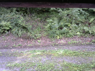 長野県菅平高原 ゆたか山荘 南側 2025/08/29 13:30