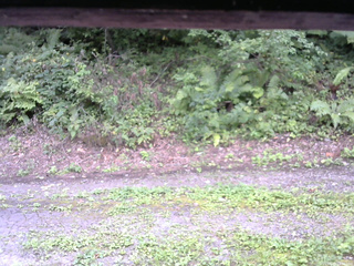 長野県菅平高原 ゆたか山荘 南側 2025/08/29 13:45