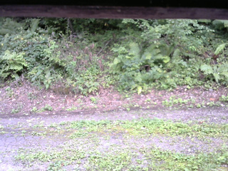 長野県菅平高原 ゆたか山荘 南側 2025/08/29 14:15