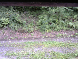 長野県菅平高原 ゆたか山荘 南側 2025/08/29 15:15