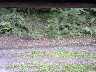 長野県菅平高原 ゆたか山荘 南側 2025/08/29 15:30